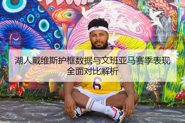 湖人戴维斯护框数据与文班亚马赛季表现全面对比解析