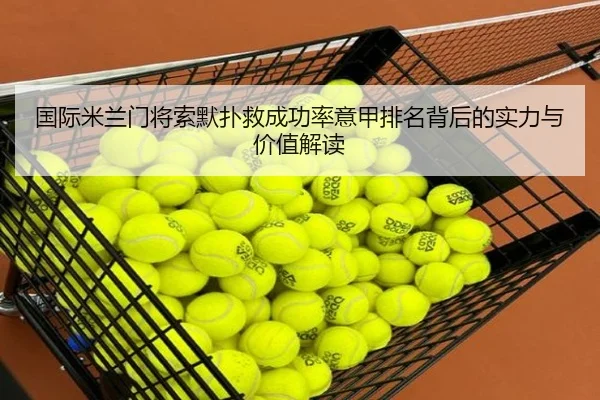 国际米兰门将索默扑救成功率意甲排名背后的实力与价值解读